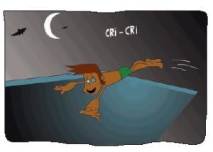 piscina 12